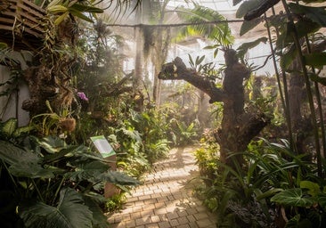 Estepona botanical garden and orchid house.
