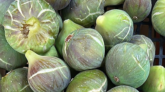 Higo de la Reina: sweet, late-ripening and from Malaga