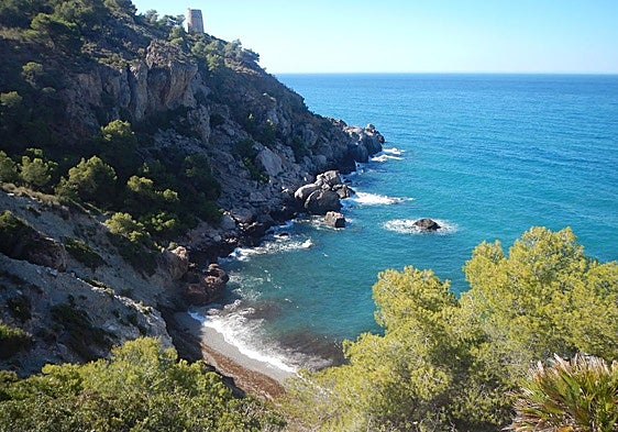 Ten fascinating facts about Malaga province's Maro cliffs