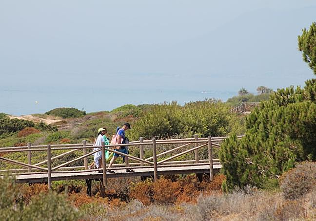 Accesss between the dunes in Cabopino.