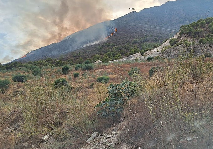 A picture of the fire, taken this Tuesday in Nerja.