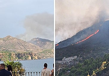 Photos of the fire in Nerja on Tuesday.