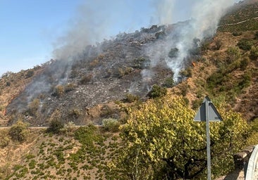 Axarquía wildfire extinguished after burning two hectares of land in Cútarting two hectares of scrubland