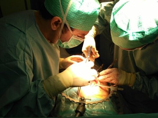 A transplant at the Carlos Haya regional hospital.