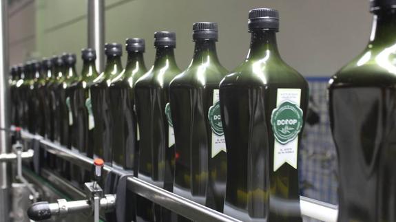 Dcoop now handles 250,000 tonnes of olive oil every year