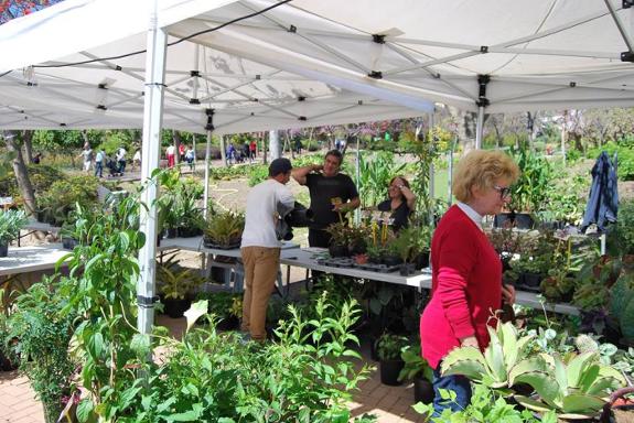 The fair will focus on rare succulents, orchids and bonsai. 