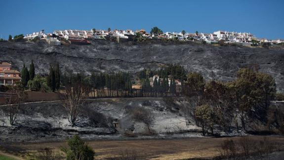 The Manilva landscape after the fire was extinguished.