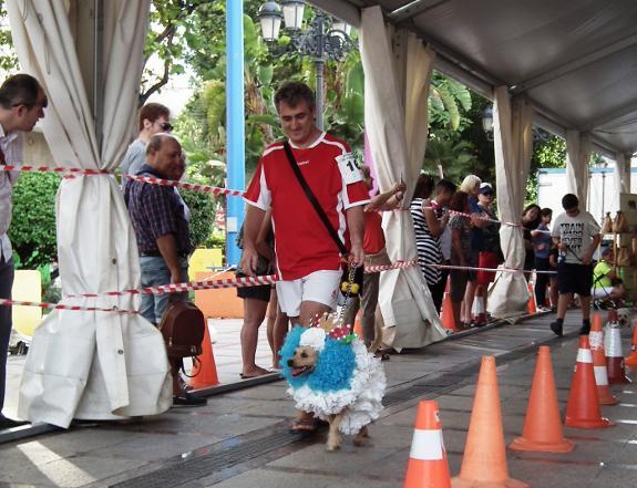 Dogs take centre stage at Torremolinos pet contest