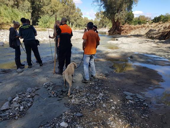 Volunteers and emergency services search for Roger.