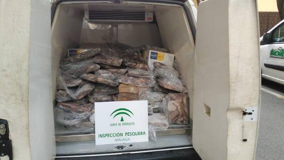 The load of illegal octopus seized by the authorities. 