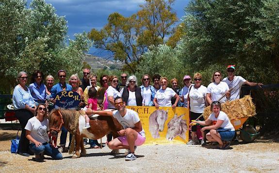 Ten years taking care of horses and donkeys