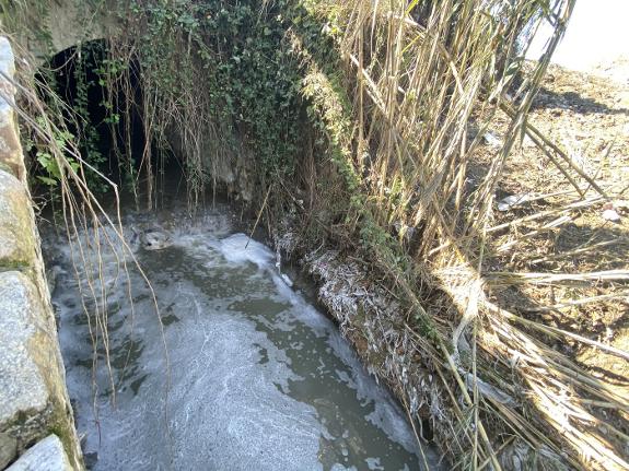 The point where sewage from Alhaurín el Grande flows into La Villa stream. :: fernando torres