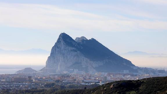 Gibraltar is getting greener with new trees