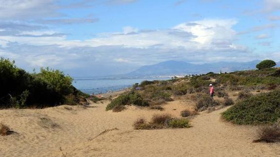 The Artola dunes.