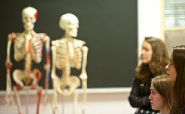 Primer paso hacia la nueva facultad de Medicina de la UA: Obras en el aula de Anatomía