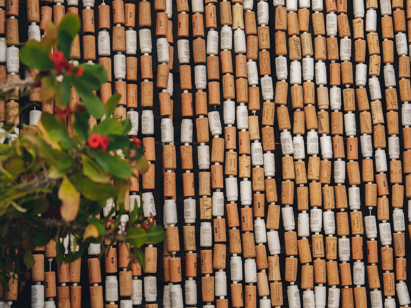 Fotos: Un paseo por el barrio de Santa Cruz de Alicante