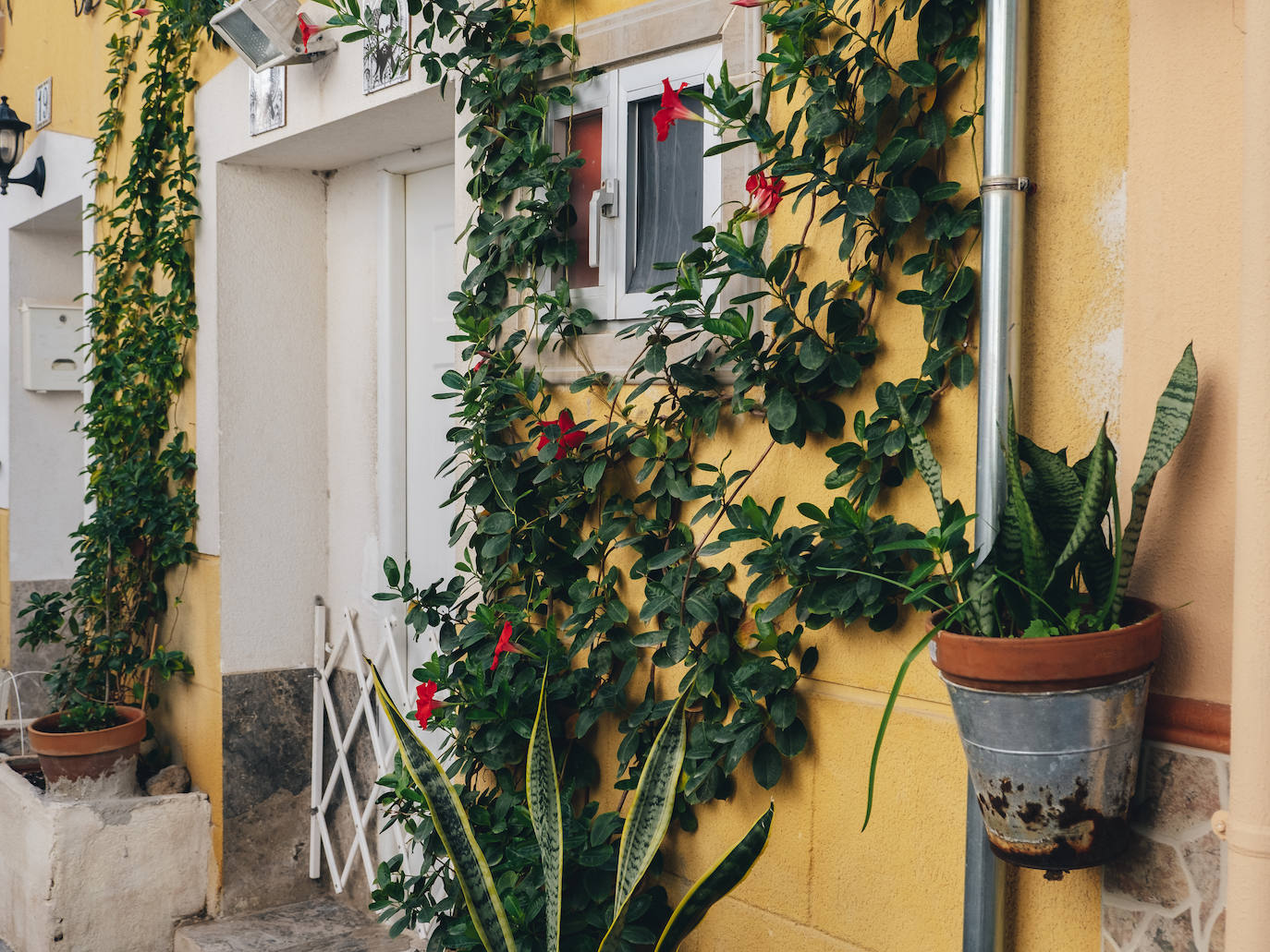 Fotos: Un paseo por el barrio de Santa Cruz de Alicante