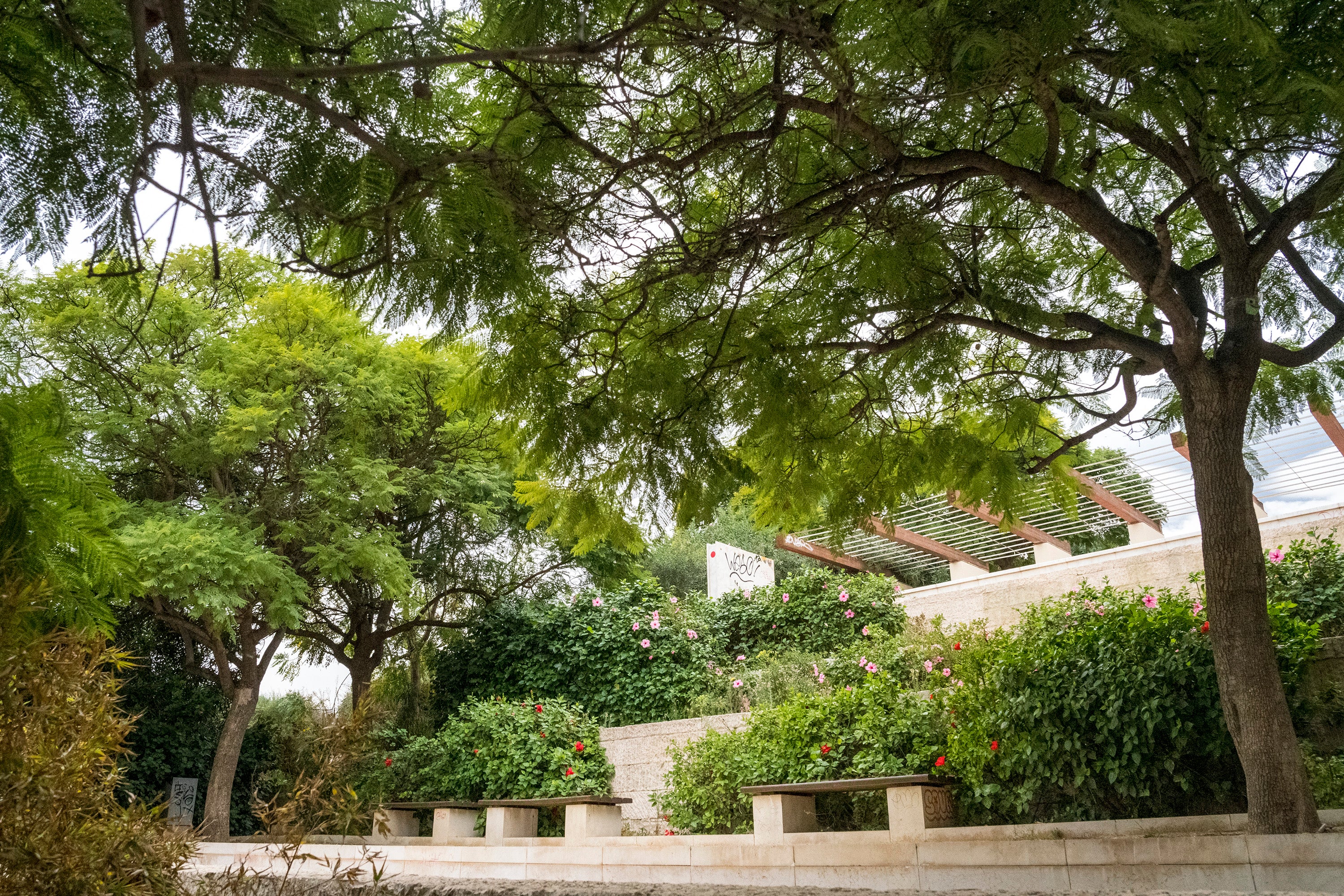 Fotos: El Parque de la Ereta: entre el castillo y el mar