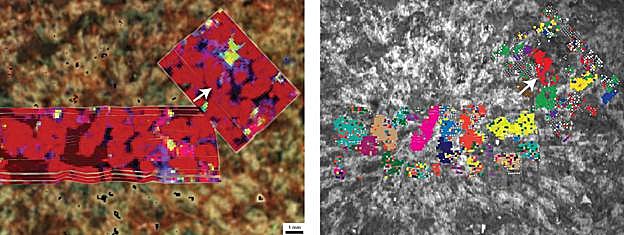 Dos vistas de rayos X diferentes de la composición de Brac a partir de la fluorescencia de rayos X.