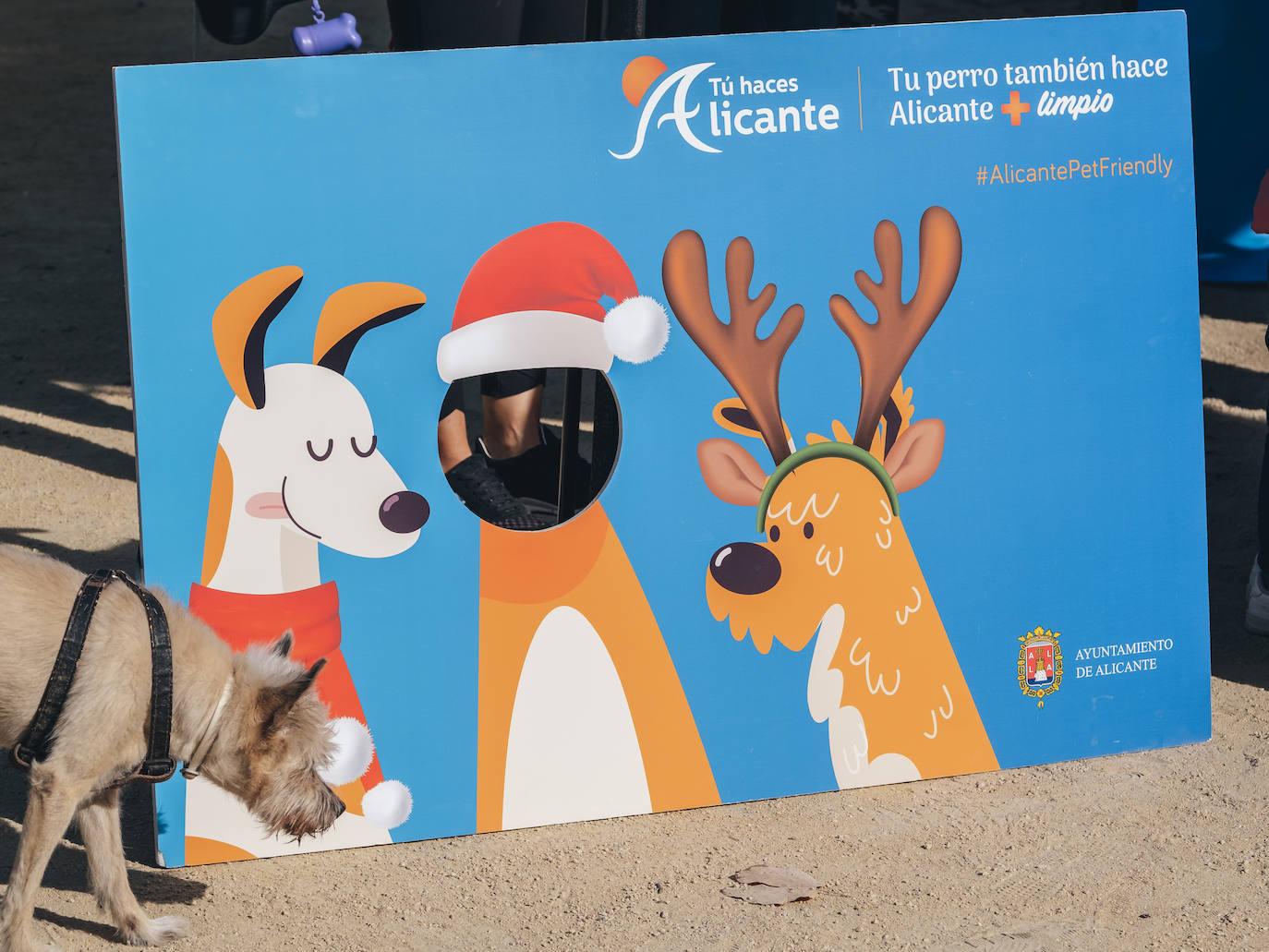 Fotos: Exhibiciones de unidades caninas y mucho amor en el evento &#039;Mi mascota, mi familia&#039;