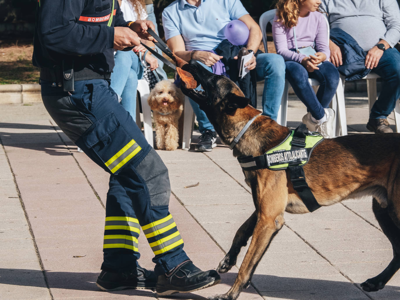 Fotos: Exhibiciones de unidades caninas y mucho amor en el evento &#039;Mi mascota, mi familia&#039;