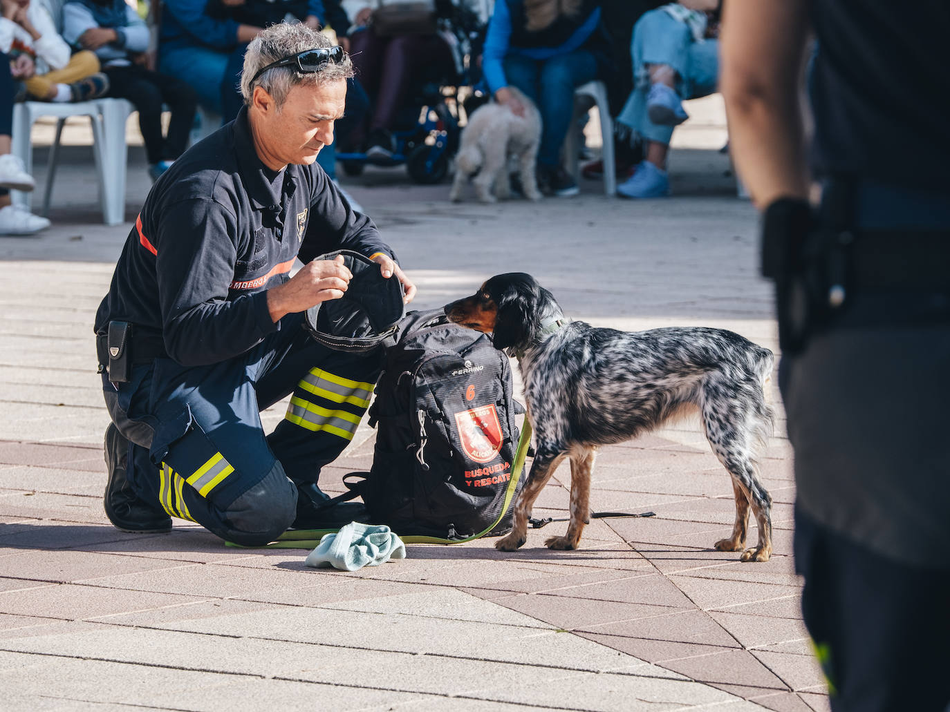 Fotos: Exhibiciones de unidades caninas y mucho amor en el evento &#039;Mi mascota, mi familia&#039;