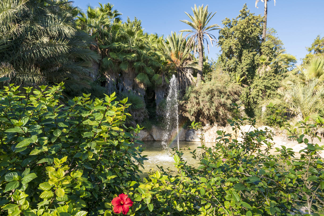Fotos: El Palmeral, un parque natural frente al mar en Alicante