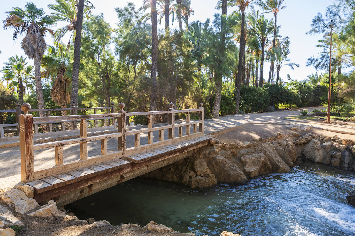 Fotos: El Palmeral, un parque natural frente al mar en Alicante