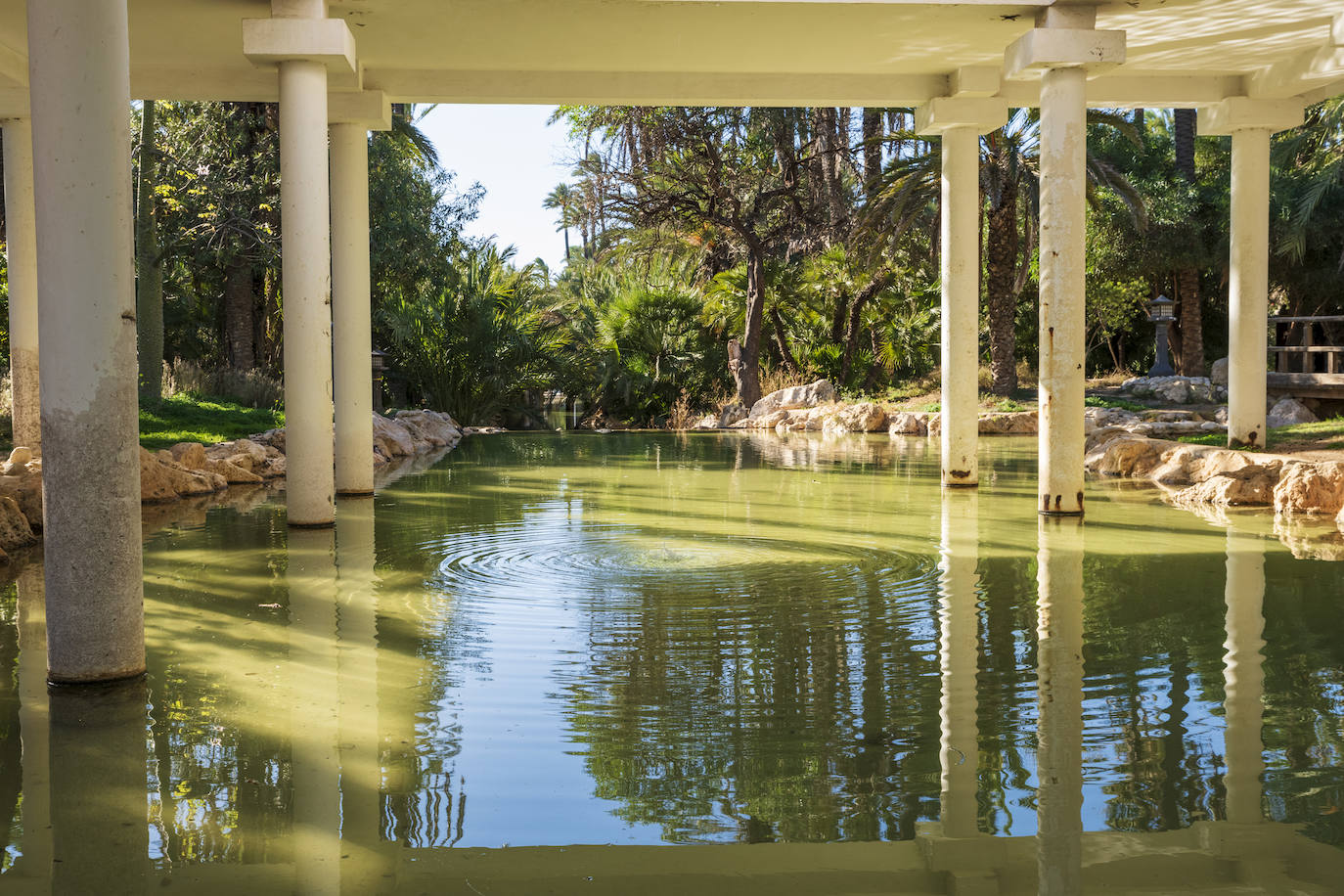 Fotos: El Palmeral, un parque natural frente al mar en Alicante