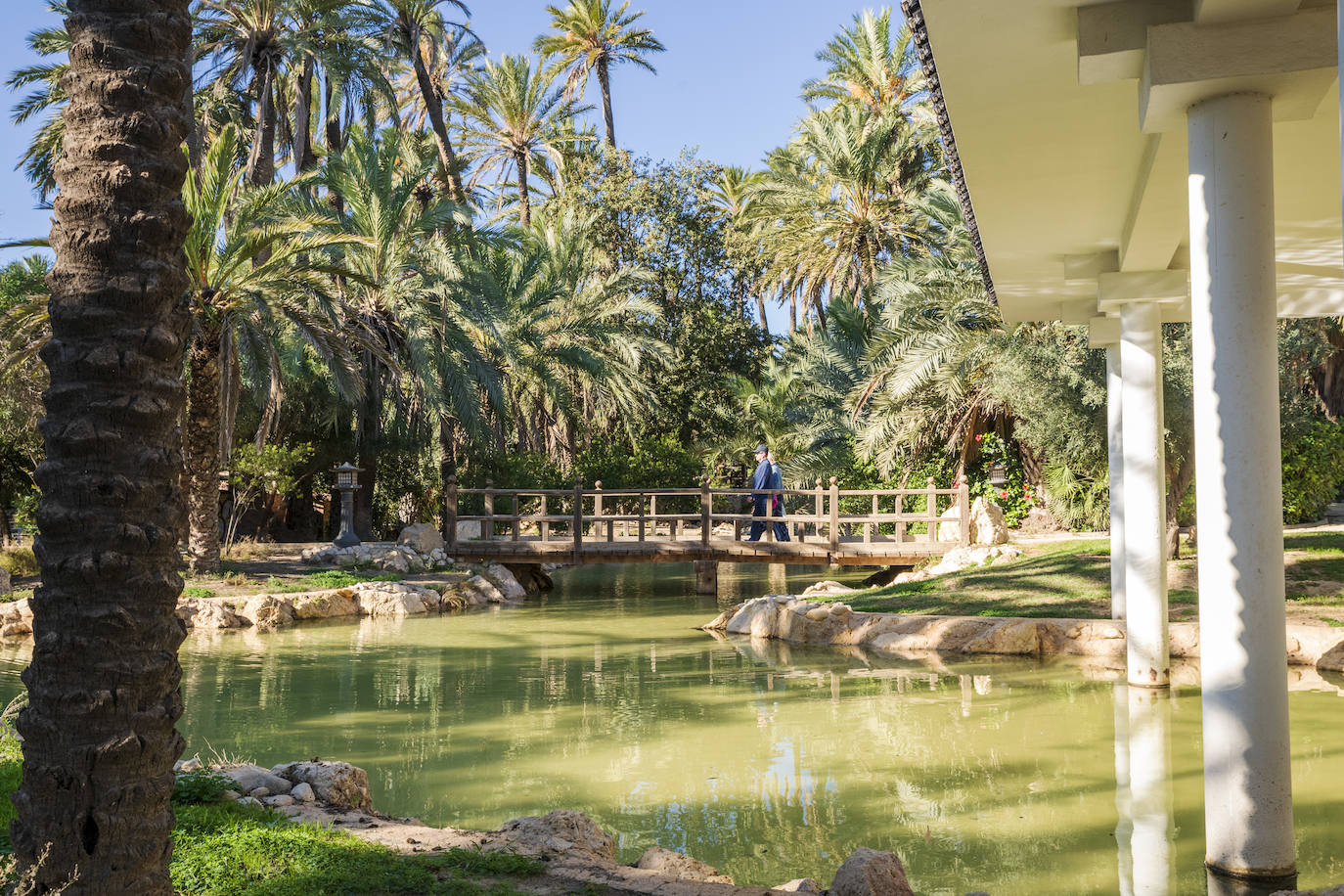 Fotos: El Palmeral, un parque natural frente al mar en Alicante