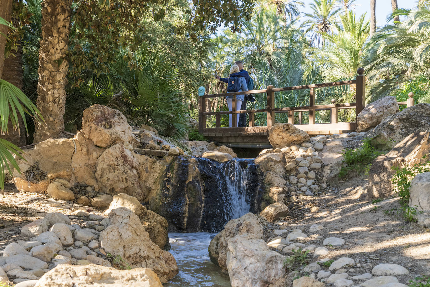 Fotos: El Palmeral, un parque natural frente al mar en Alicante