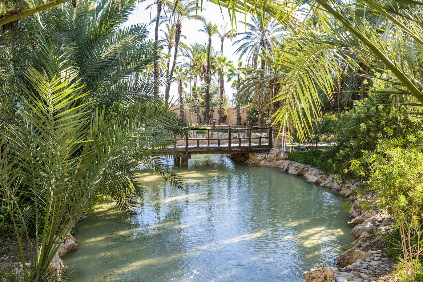 Fotos: El Palmeral, un parque natural frente al mar en Alicante