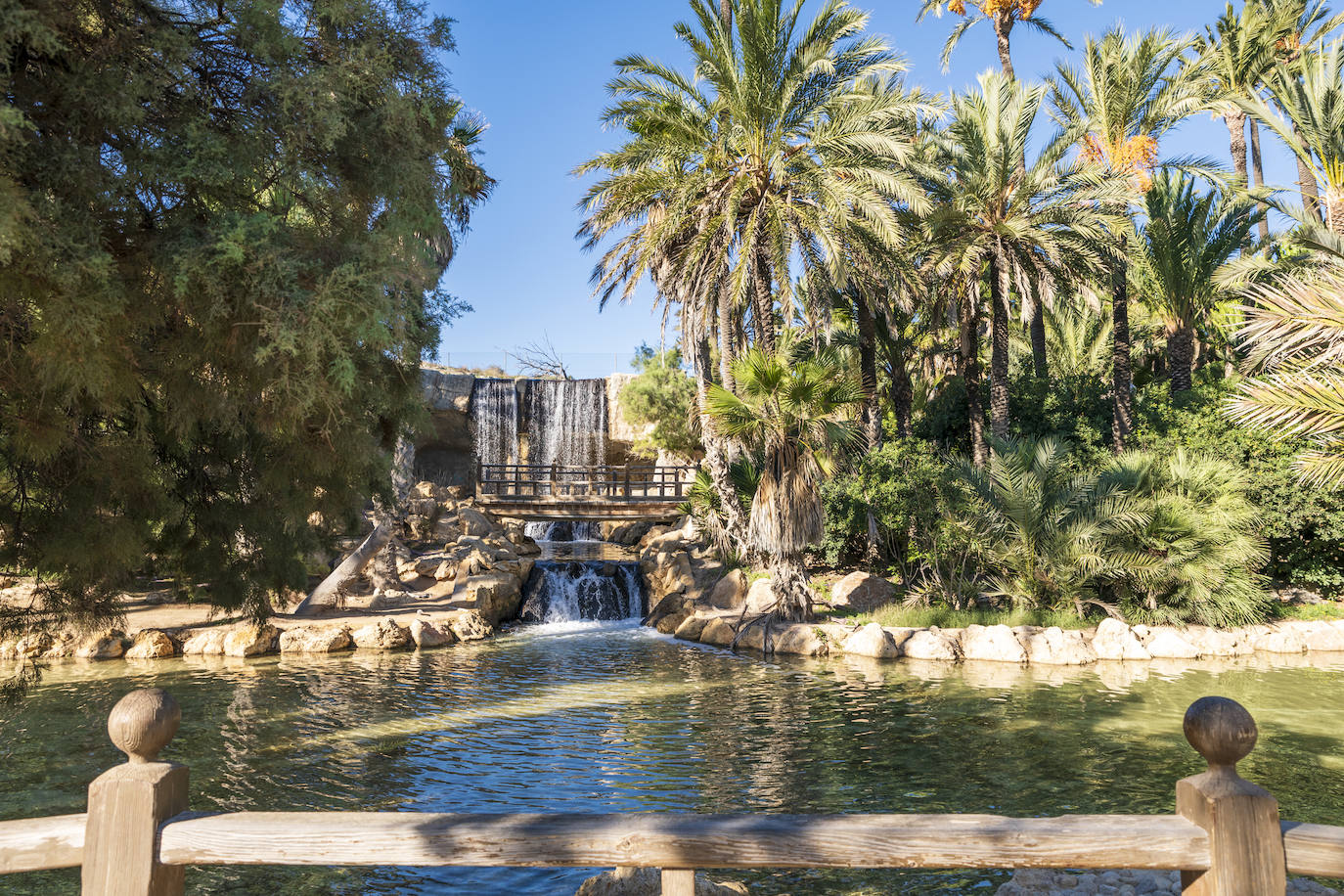 Fotos: El Palmeral, un parque natural frente al mar en Alicante
