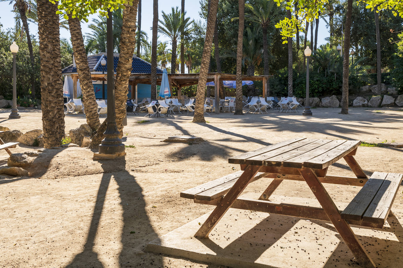 Fotos: El Palmeral, un parque natural frente al mar en Alicante