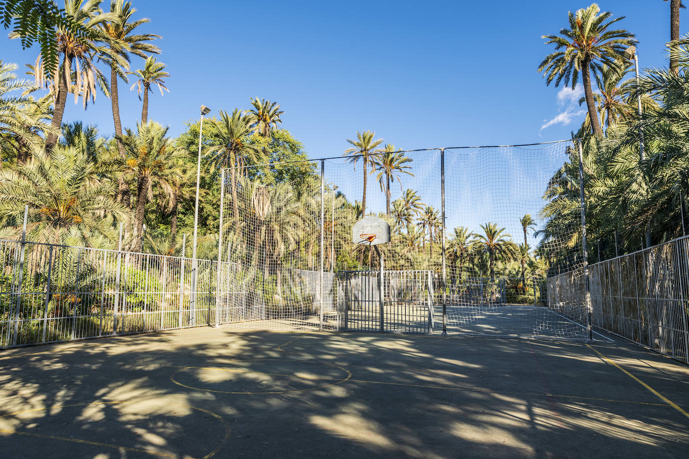 Fotos: El Palmeral, un parque natural frente al mar en Alicante