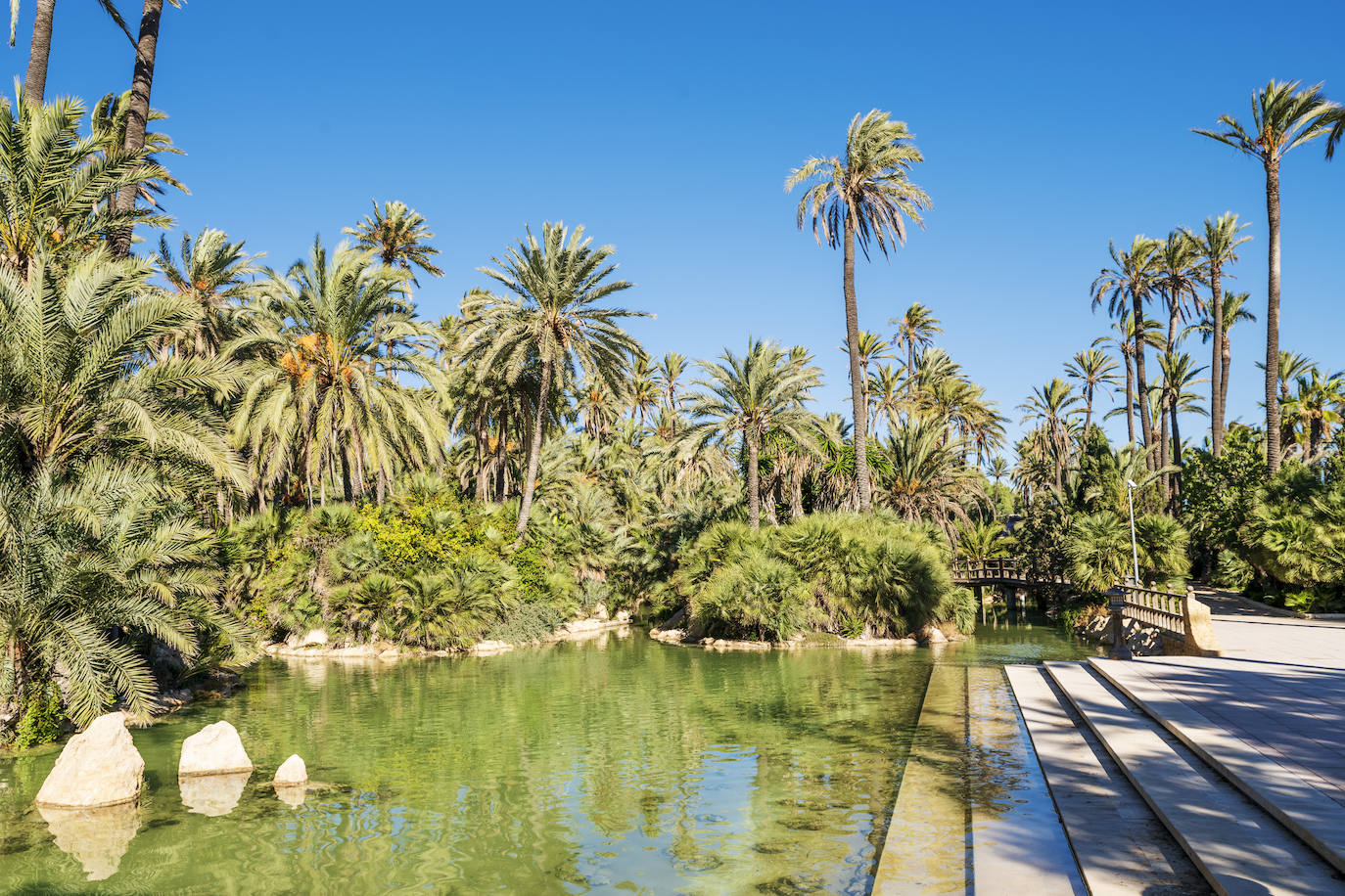 Fotos: El Palmeral, un parque natural frente al mar en Alicante