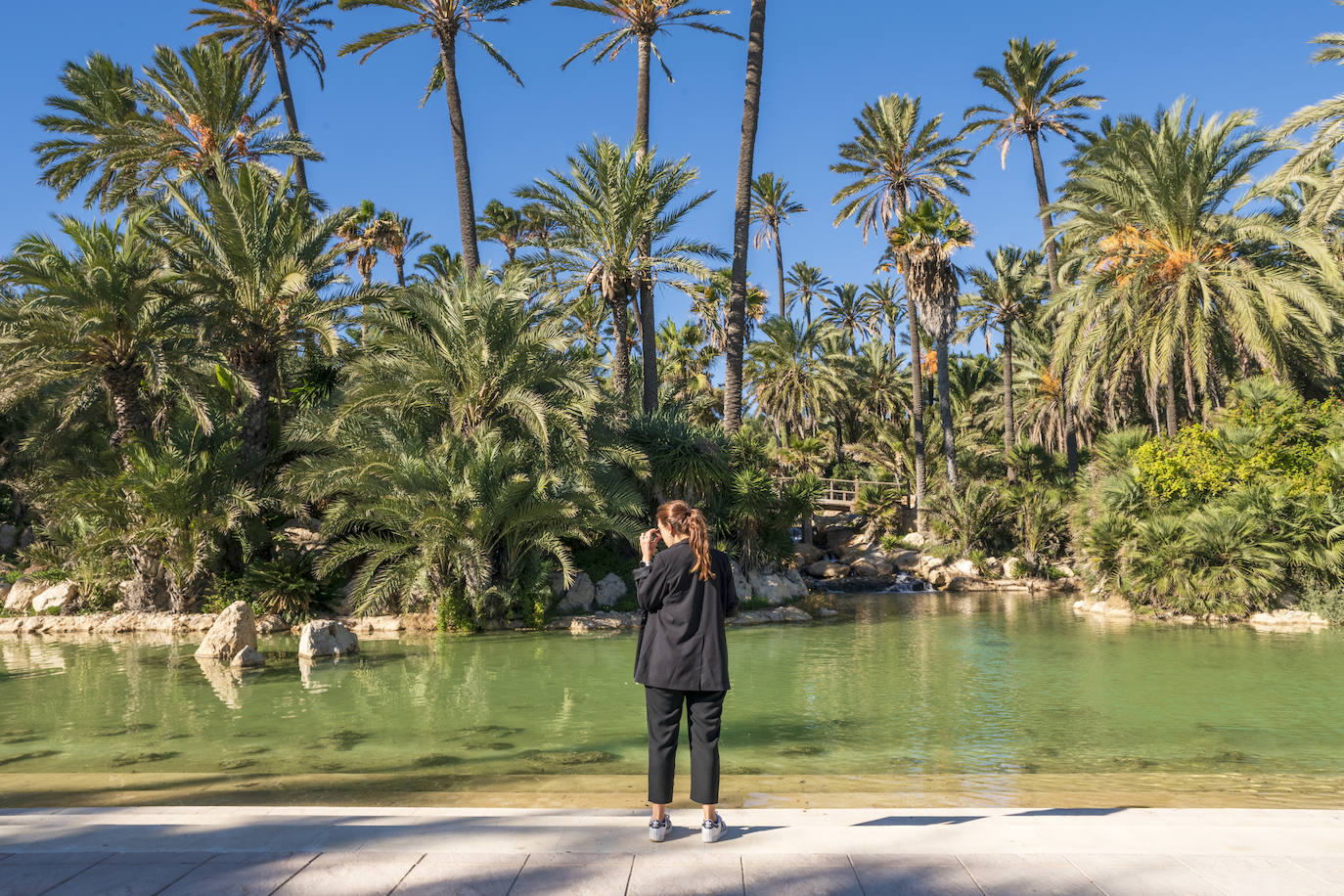 Fotos: El Palmeral, un parque natural frente al mar en Alicante