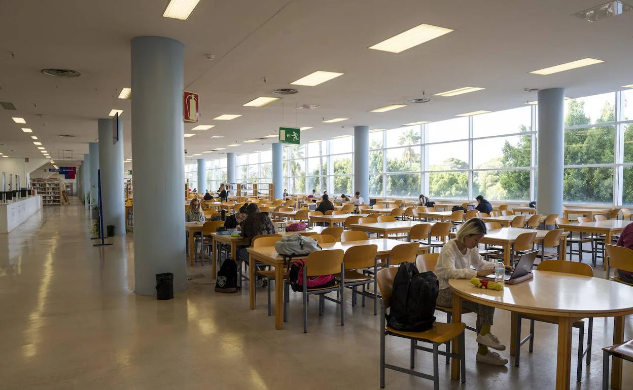 Estudiantes en la Biblioteca General de la Universidad de Alicante.