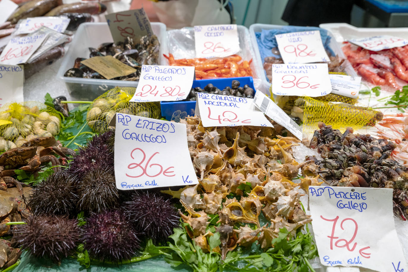 Fotos: El Mercado Central de Alicante se viste de Navidad
