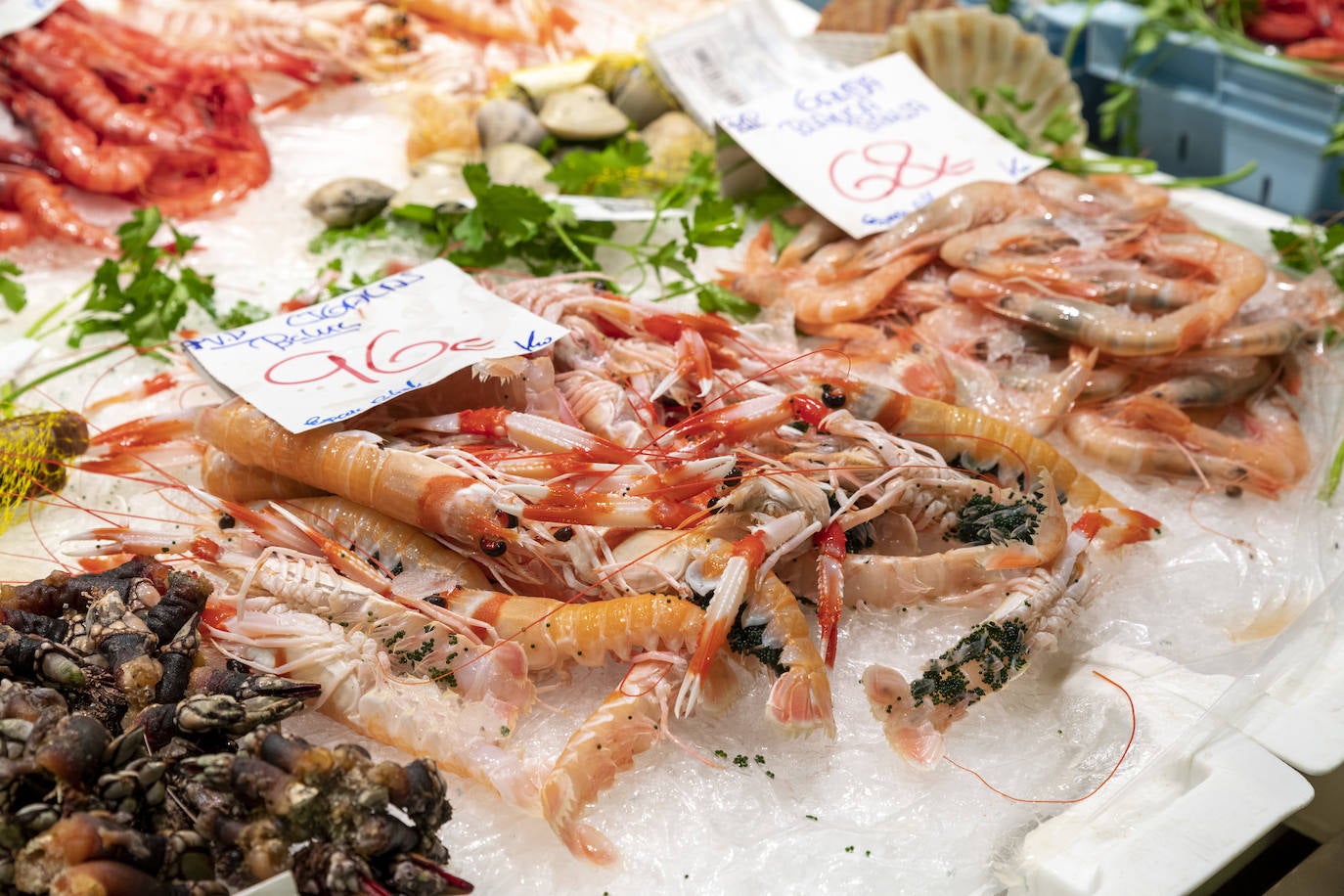 Fotos: El Mercado Central de Alicante se viste de Navidad