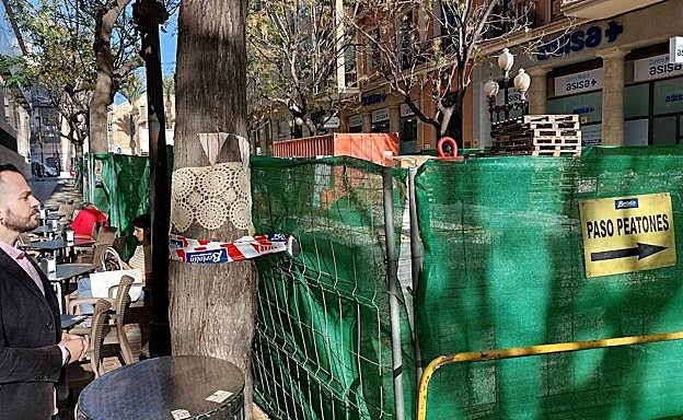 El Consell reclama a Alicante que escuche a la ciudadanía y mantenga las melias de la avenida de la Constitución