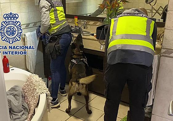 La Policía Nacional ha realizado las detenciones