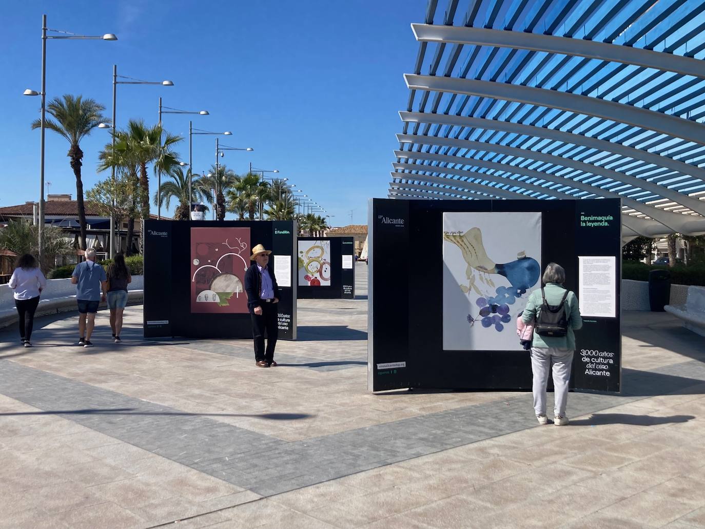 Inauguración de la exposición '3000 años de cultura del vino de Alicante' en Torrevieja.