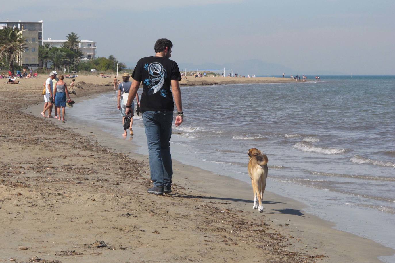 Las playas de Dénia se llenan en una jornada veraniega