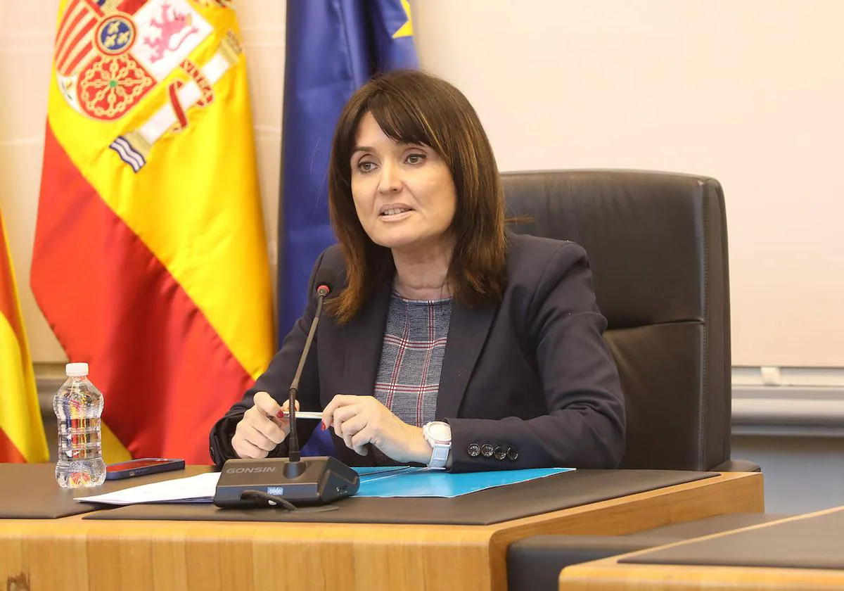 Julia Parra, durante un Pleno en la Diputación.