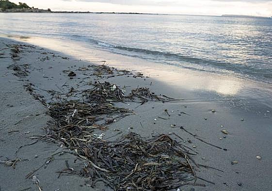 Playa de la Almadraba