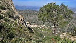 Inmediaciones del Castillo de l'Ocaive, en el término municipal de Pedreguer
