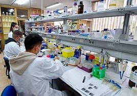 Laboratorio de la Universidad de Alicante.