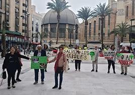 Desfile de 'Salvem las melias' en la avenida Constitución.