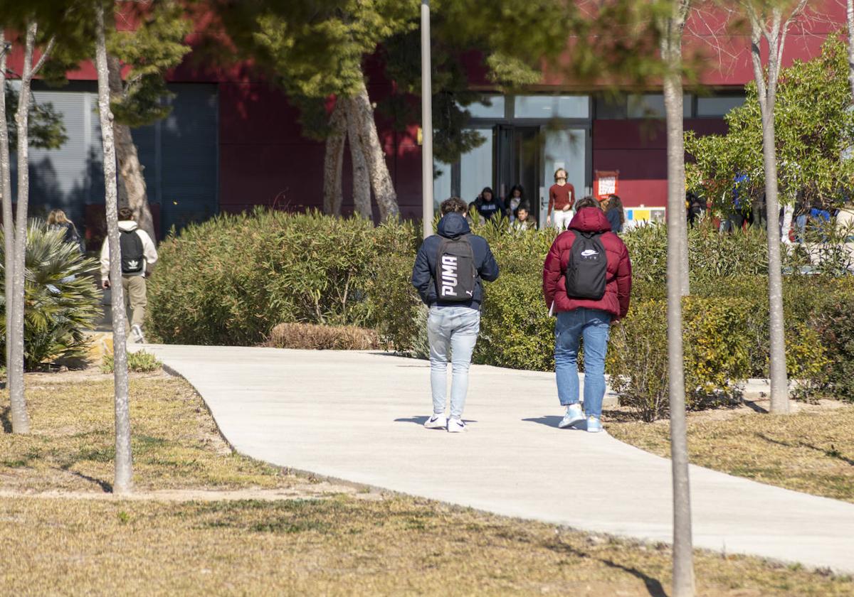 Estudiantes de la UMH en el campus de Elche